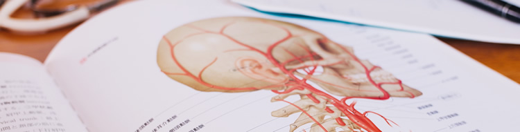 肩こり・首こりの専門的な説明